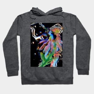 Trippy Fuck You Hoodie